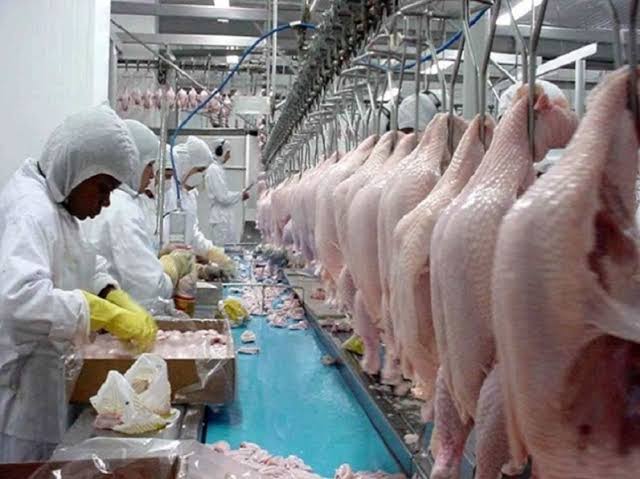 China deixa de comprar frango de dois frigoríficos brasileiros