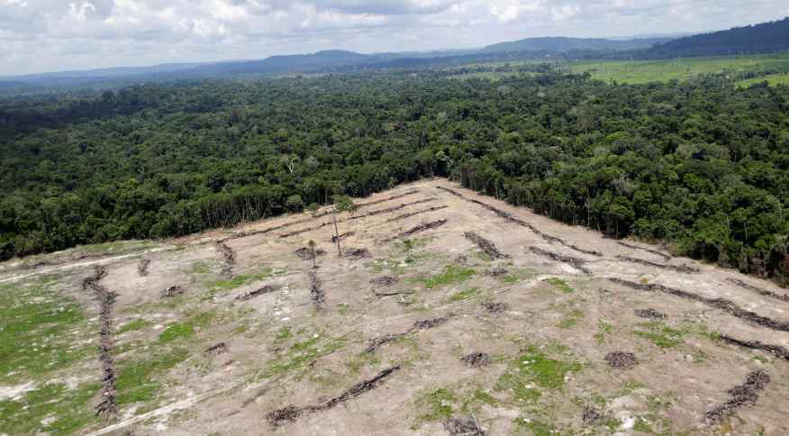 Desmatamento na Amazônia cresce 56,6% nos últimos três anos, diz Ipam; em terras indígenas alta é de 153%