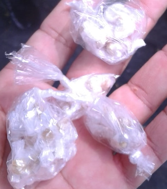Polícia Militar prende mulher suspeita de tráfico de droga no Centro de Mossoró região Oeste Potiguar