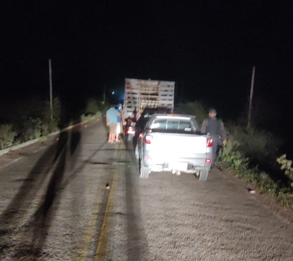 Polícia Militar prende homem flagrado com 10 bois e vacas roubados de fazenda interior do RN