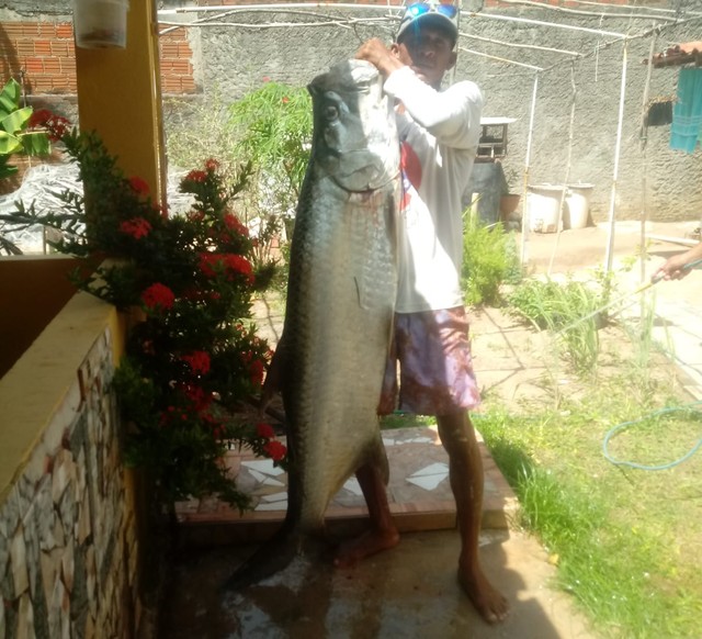 Depois de capturar peixe de 100kg, homem pega outro de 50kg da mesma espécie no RN