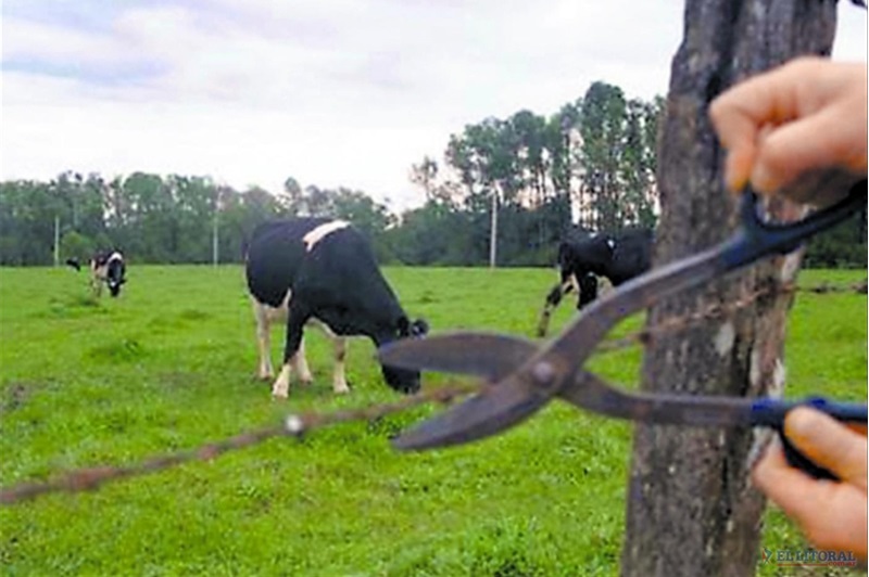 Roubo de animais amedronta fazendeiros de Serra Negra do Norte (RN)