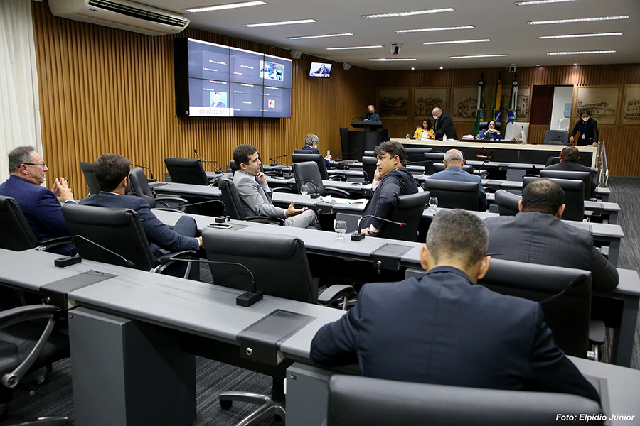Câmara inicia análise dos vetos ao PDN