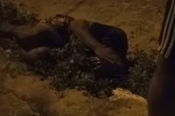 Homem tenta invadir residência da Zona Norte e é espancado por população
