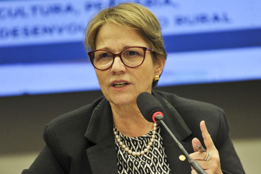 Brasil tem estoque de fertilizantes até a próxima safra, garante Tereza Cristina