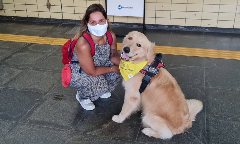 Cães de suporte emocional ganham direito de ir e vir garantido por lei