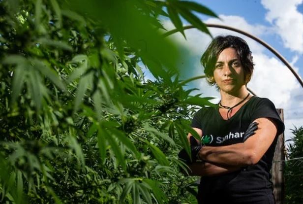 “A demanda é infinita”, diz dona da 1ª fazenda legal de Cannabis no RJ