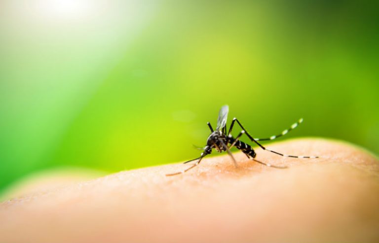 Em um mês, número de casos confirmados de dengue aumenta 983% no RN