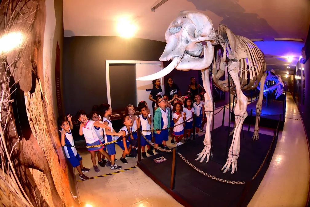 Museu Câmara Cascudo reabre dia 8 de março com visitas agendadas em Natal
