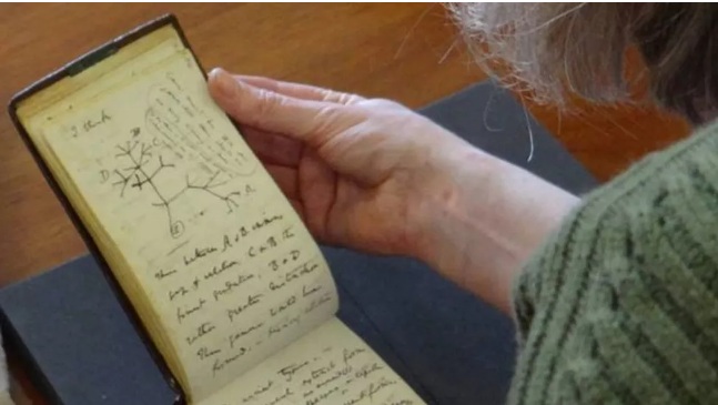 Cadernos de Charles Darwin “roubados” reapareceram misteriosamente 22 anos após sumiço