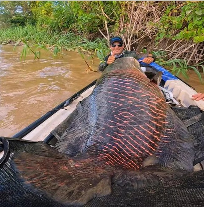 Pescadores fisgam peixe de mais 2 metros e 100 kg: ‘foi uma sensação incrível’