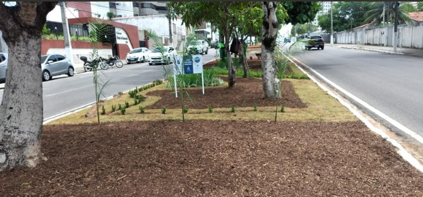 Programa Natal Mais Verde muda paisagismo de canteiros de Natal (RN)