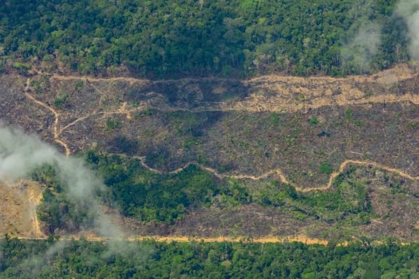 Desmatamento na Amazônia cresce 54% e tem pior abril desde 2008