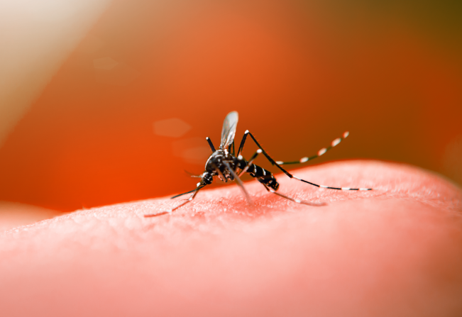 Saúde Natal decreta situação de emergência em virtude da Dengue, chikungunya e zika