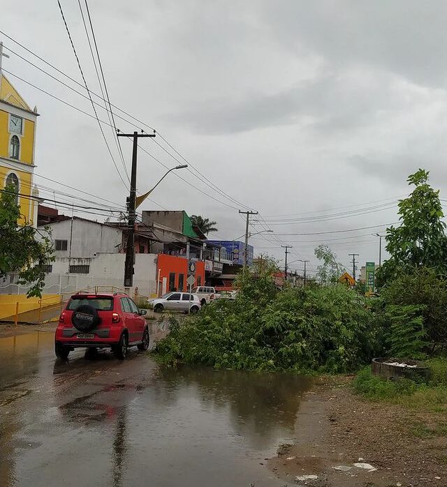 Chuva forte provoca queda de árvore em avenida movimentada de Parnamirim 05/05/2022 12h24