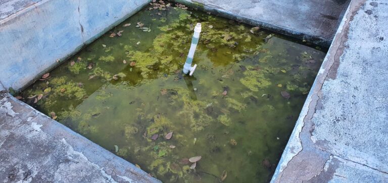 Abandonada, fonte luminosa do viaduto de Ponta Negra acumula água parada em plena epidemia de dengue