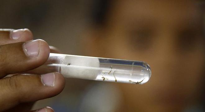 Sesap apresenta dados da dengue, zika e chikungunya no estado