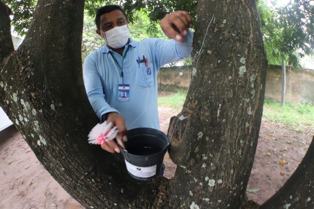 Tecnologia de vigilância da SMS monitora circulação do Aedes aegypti em Natal (RN)