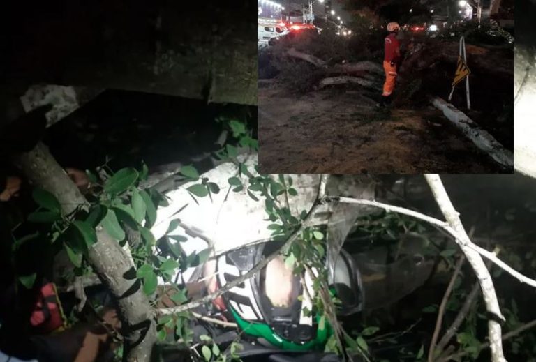 Motociclista atingido por queda de árvore em Natal teve lesões no fígado e nos rins e segue internado em estado grave