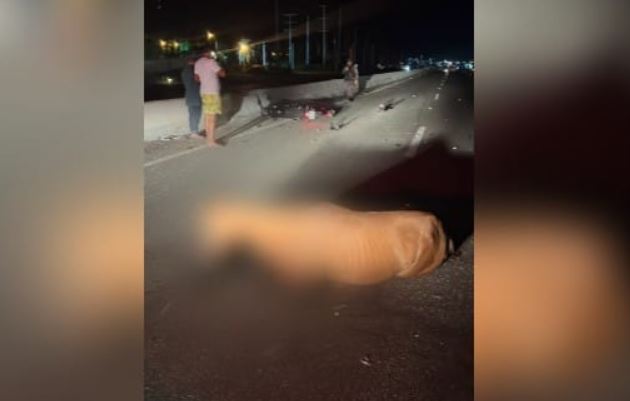 Motociclista morre após se chocar com cavalo na BR-304, em Mossoró