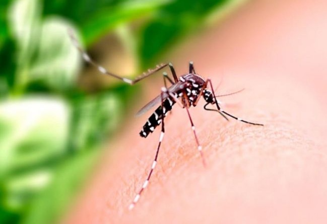 Rio Grande do Norte tem mais de 30 mil casos suspeitos de dengue