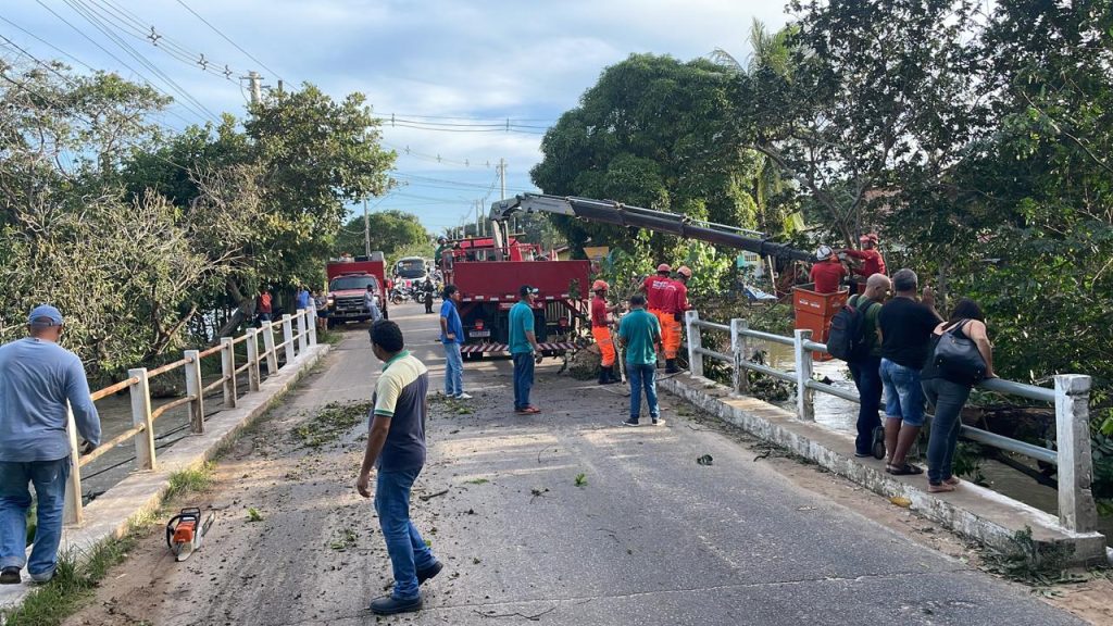 Ponte de Pium é interditada para serviços de desobstrução e retirada de árvore