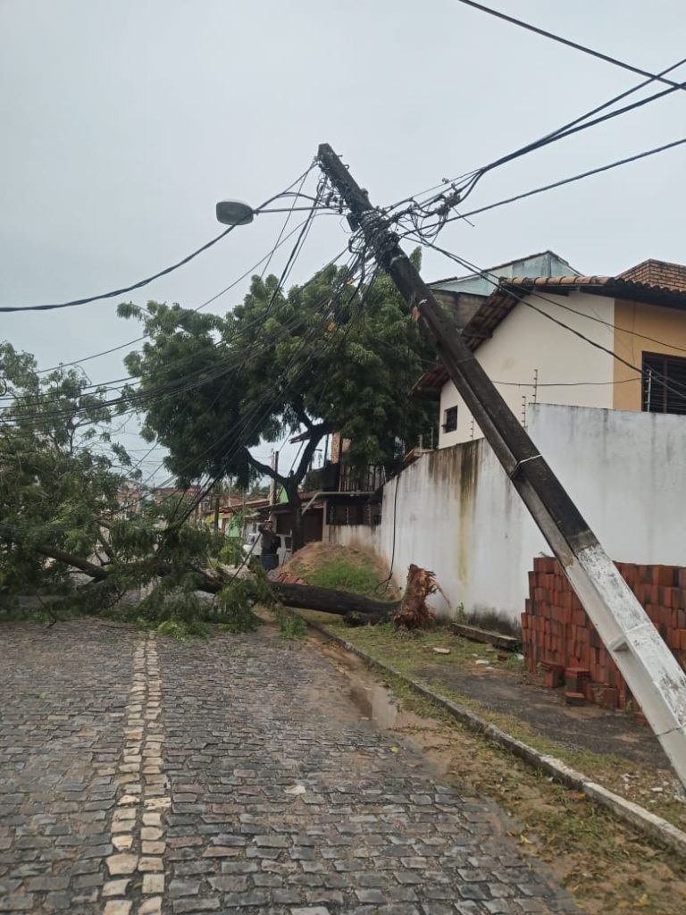 Cosern interrompe fornecimento de energia em parte de Nova Parnamirim após árvore cair sobre rede elétrica