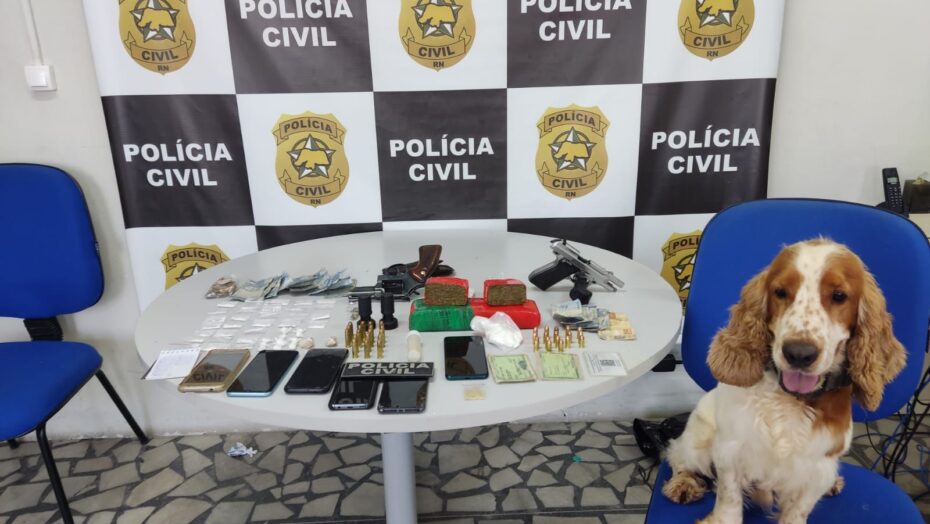Polícia Civil prende suspeito por posse irregular de arma de fogo em Timbaúba dos Batistas