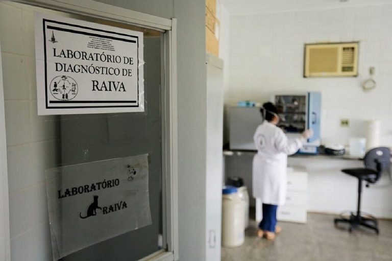 DF registra caso de raiva humana 44 anos após erradicação da doença