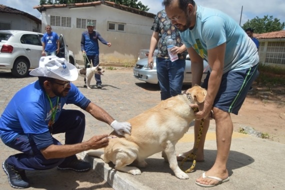 Natal terá vacinação antirrábica neste sábado (23) em Mãe Luiza e Pitimbu