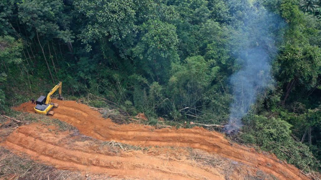 Amazônia bate novo recorde de desmatamento no 1º semestre de 2022