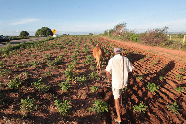 Estado isenta ICMS de agroindústrias familiares para saídas internas