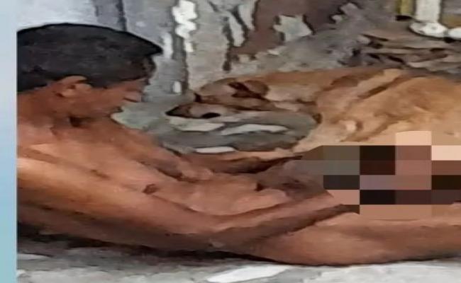 Homem é preso após ser flagrado abusando sexualmente de uma cadela em Macaíba