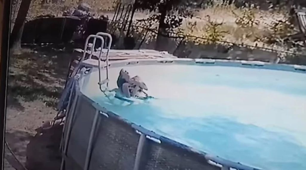Menino de 10 anos salva mãe de afogamento durante convulsão em piscina