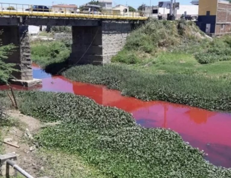 Idema emite nota sobre a contaminação do Rio Barra Nova, em Caicó