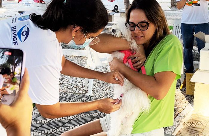 Centro de Controle de Zoonoses vacina mais de 10 mil cães e gatos no Dia D em Caicó