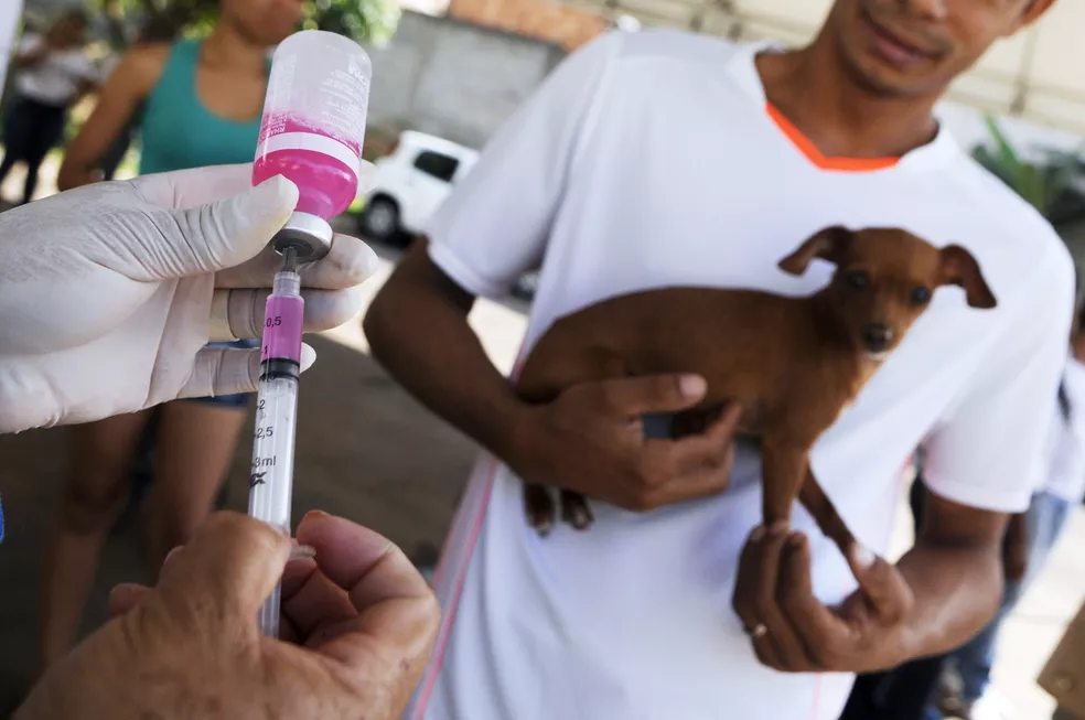 SESAP alerta sobre casos de raiva humana no Brasil