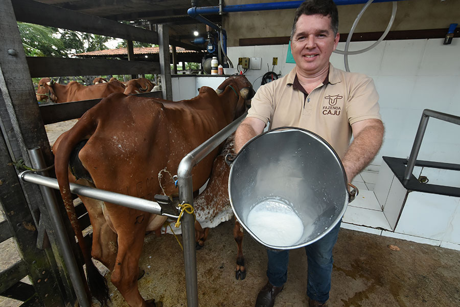 RN registra menor produção de leite industrializado desde 2018