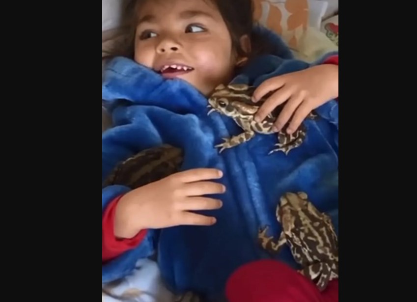 Menina de 2 anos brinca com sapos na cama, deixa mãe apavorada e vídeo viraliza