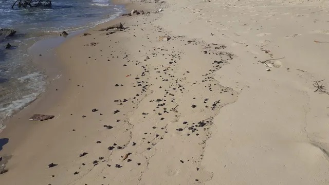 Manchas de óleo voltam a aparecer em praias do Litoral Sul do RN