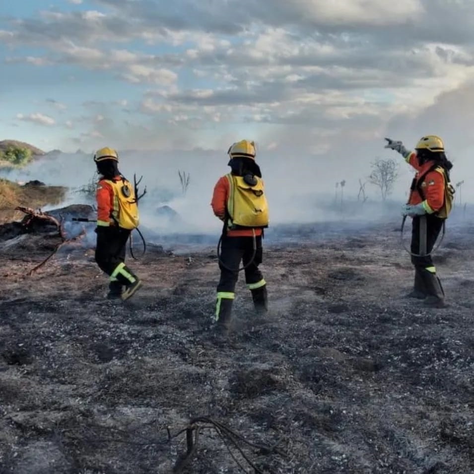 Bombeiros atenderam 307 ocorrências de incêndios florestais no RN em dois meses