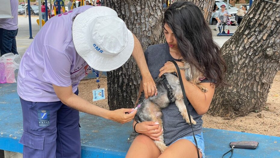 Natal realiza vacinação antirrábica casa a casa neste sábado 15