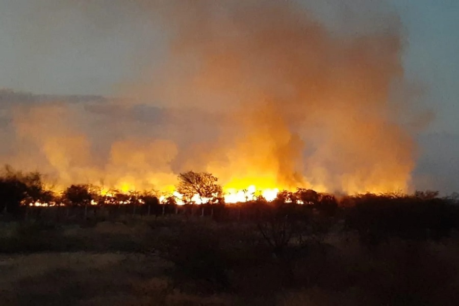 Bombeiros tentam controlar incêndio florestal na cidade de Serra Negra do Norte
