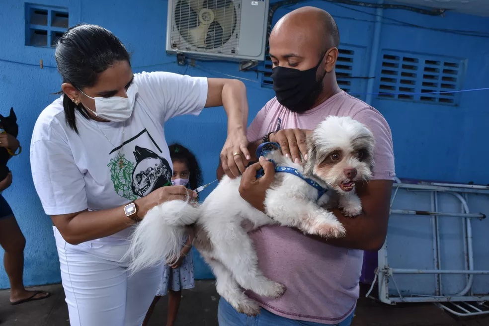 Quatro bairros de Natal têm vacinação antirrábica casa a casa neste sábado (22)