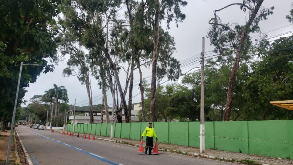 Av. Alexandrino de Alencar é parcialmente interditada para retirada de árvores
