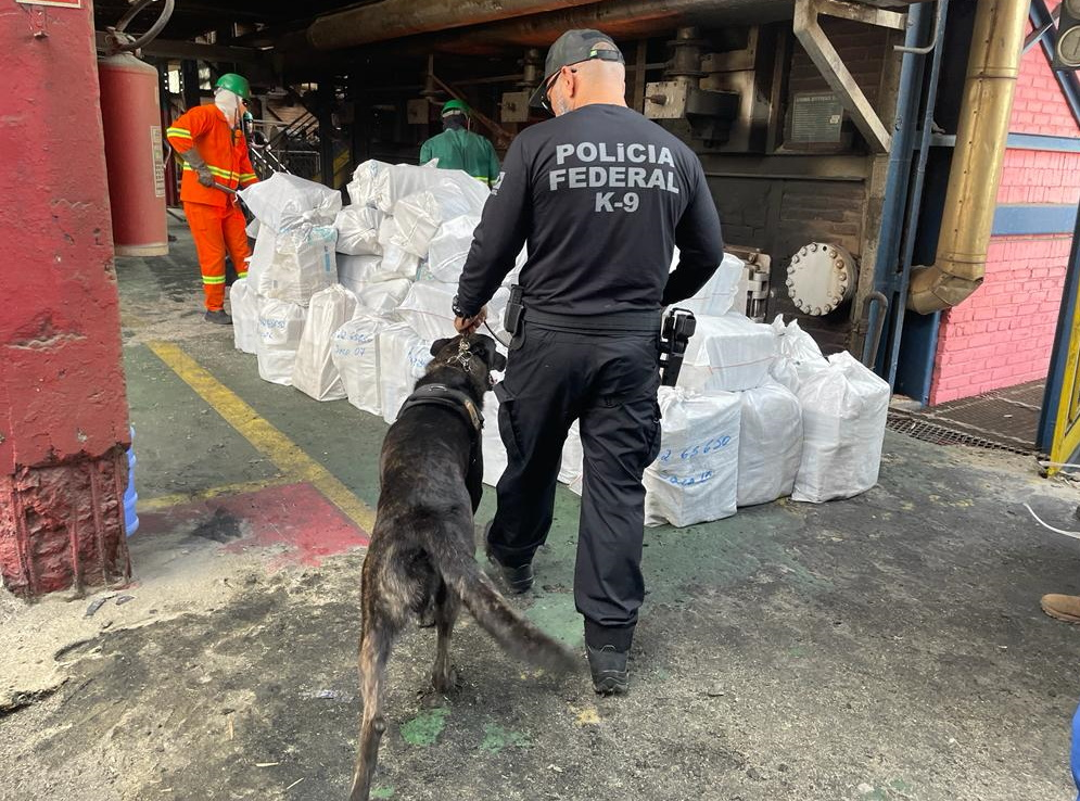 PF incinera mais de 7 toneladas de drogas no RN