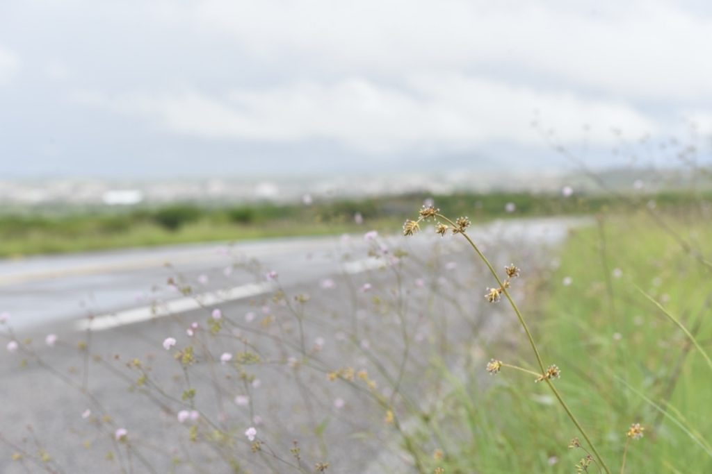 Previsão: final de semana com pancadas de chuva no litoral potiguar