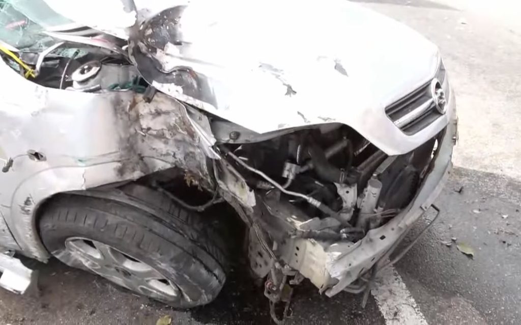 Motorista sobe canteiro central, derruba árvore e invade contramão na BR-101 em Natal