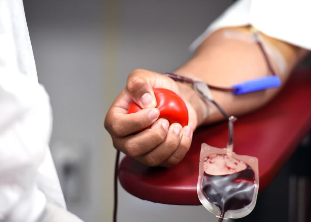 Hemonorte celebra Semana Nacional do doador voluntário de sangue