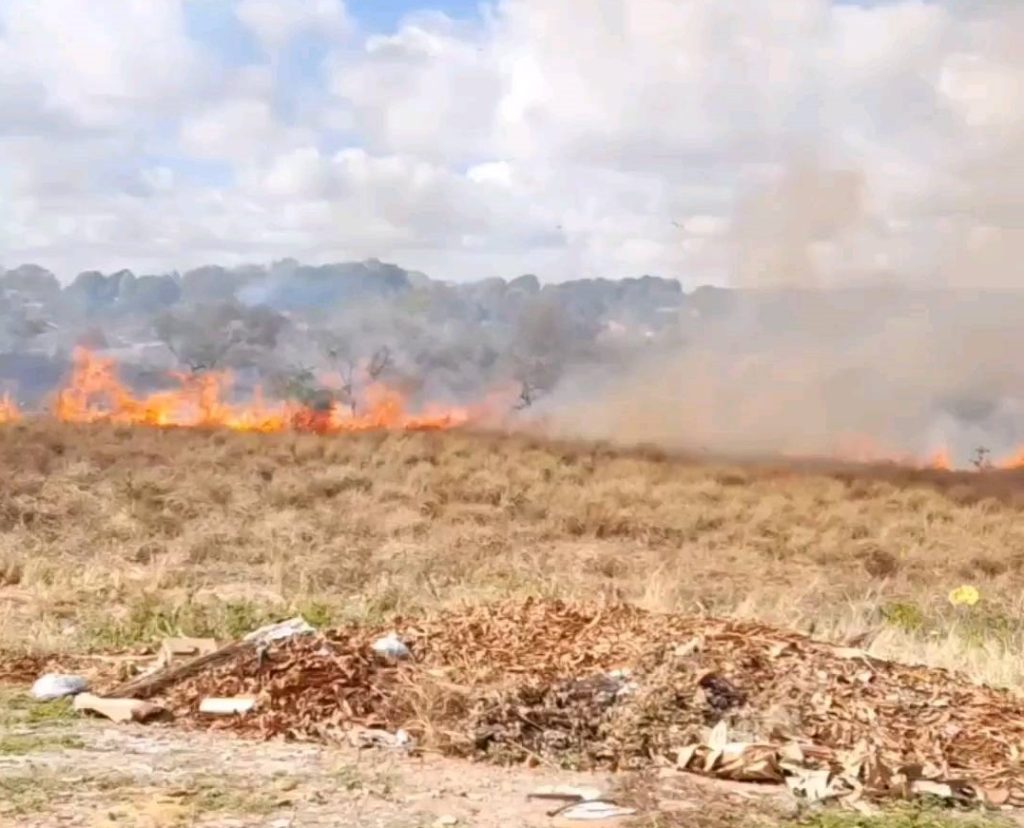 Bombeiros combatem incêndio em região de mata no conjunto Cidade Satélite